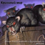 скачать книгу Крысиный мир (СИ) автора Михаил Тимофеев (2)