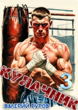 скачать книгу Кулачник 3 (СИ) автора Валерий Гуров