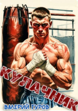 скачать книгу Кулачник (СИ) автора Валерий Гуров