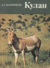 скачать книгу Кулан автора Андрей Банников