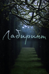 скачать книгу Лабиринт (СИ) автора Your6Demon