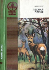 скачать книгу Лесная песня (Повести) автора Юлий Ванаг