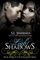 скачать книгу Light Shadows автора S. L. Jennings