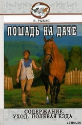 скачать книгу Лошадь на даче автора Екатерина Рыбас