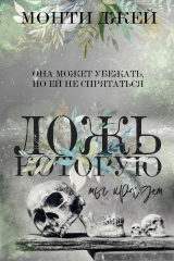 скачать книгу Ложь, которую мы крадем автора Джей Монти