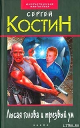 скачать книгу Лысая голова и трезвый ум автора Сергей Костин