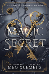 скачать книгу Магическая тайна (ЛП) автора Мэг Сюэмэй Икс
