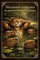 скачать книгу Маленькие зарисовки из жизни больших кошек (СИ) автора Ракшас