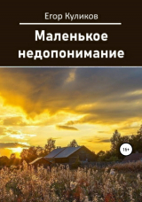 скачать книгу Маленькое недопонимание автора Егор Куликов