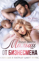 скачать книгу Малыш от бизнесмена. Любимых в награду дают небеса (СИ) автора Элли Шарм
