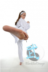 скачать книгу Марин Ле Пен и юный альфонс автора Олег Рыбаченко