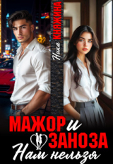 скачать книгу Мажор и заноза. Нам нельзя (СИ) автора Ника Княжина