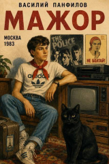 скачать книгу Мажор (СИ) автора Василий Панфилов