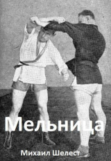 скачать книгу Мельница 3 (СИ) автора Михаил Шелест