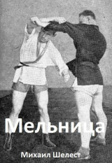 скачать книгу Мельница 5 (СИ) автора Михаил Шелест