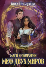 скачать книгу Меж двух миров (СИ) автора Анна Швыркова