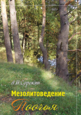 скачать книгу Мезолитоведение Поочья автора Алексей Сорокин