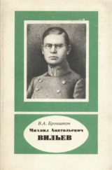 скачать книгу Михаил Анатольевич Вильев (1893-1919) автора Виталий Бронштэн
