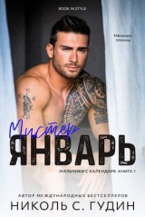 скачать книгу Мистер Январь (ЛП) автора Николь С. Гудин