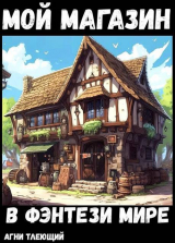 скачать книгу Мой магазин с нуля (СИ) автора Жаркое Пламя