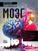скачать книгу Мозг. Большая энциклопедия автора Джон Терни