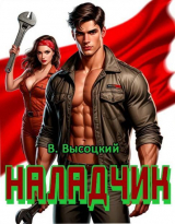 скачать книгу Наладчик (СИ) автора Василий Высоцкий