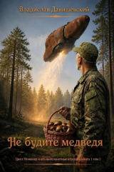 скачать книгу Не будите медведя (СИ) автора Владислав Данишевский