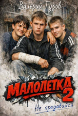 скачать книгу Не продавайся 2 (СИ) автора Валерий Гуров