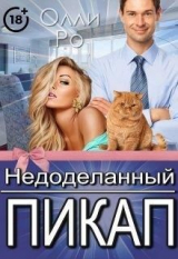 скачать книгу Недоделанный пикап (СИ) автора Олли Ро