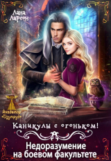скачать книгу Недоразумение на боевом факультете. Каникулы с огоньком (СИ) автора Лана Ларсон