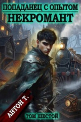 скачать книгу Некромант. Том шестой (СИ) автора Антон Т.