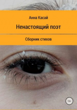 скачать книгу Ненастоящий поэт автора Анна Касай