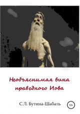 скачать книгу Необъяснимая вина праведного Иова автора Светлана Бутина-Шабаль