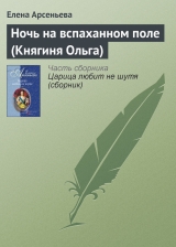 скачать книгу Ночь на вспаханном поле (Княгиня Ольга) автора Елена Арсеньева