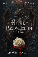 скачать книгу Ночь разрушений (ЛП) автора Дженни Бассетт