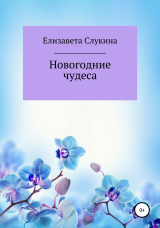 скачать книгу Новогодние чудеса автора Елизавета Слукина