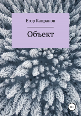 скачать книгу Объект автора Егор Капранов