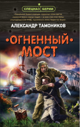скачать книгу Огненный мост автора Александр Тамоников