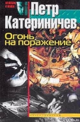 скачать книгу Огонь на поражение автора Петр Катериничев