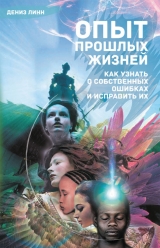 скачать книгу Опыт прошлых жизней. Как узнать о собственных ошибках и исправить их автора Дениз Линн