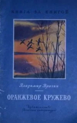 скачать книгу Оранжевое кружево автора Владимир Брагин