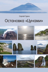 скачать книгу Остановка «Цунами» автора Сергей Гурин