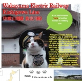 скачать книгу Остров кошек в Японии автора Игорь Окинава