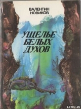 скачать книгу Острова прошедшего времени автора Валентин Новиков