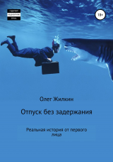 скачать книгу Отпуск без задержания автора Олег Жилкин