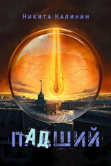 скачать книгу Падший (СИ) автора Никита Калинин