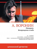 скачать книгу Панкрат. Возвращение в небо автора Андрей Воронин