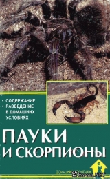скачать книгу Пауки и скорпионы. Содержание и разведение в домашних условиях автора Александр Чегодаев