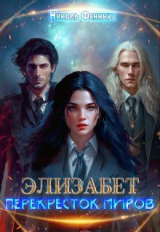 скачать книгу Перекресток миров (СИ) автора Николь Фенникс