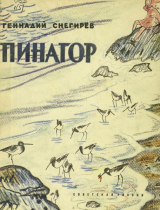 скачать книгу Пинагор автора Геннадий Снегирев